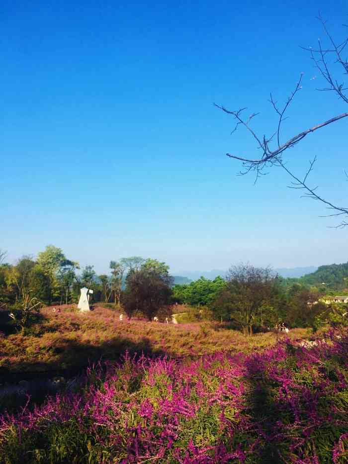到了天坪山路还好些,天坪山之前."-大众点评移动版