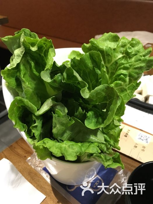 钳三甲生菜图片 第557张