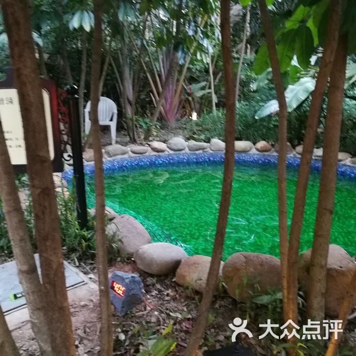 广州东方夏湾拿酒店图片-北京温泉-大众点评网