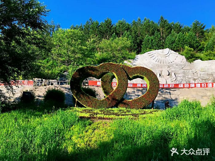北山森林公园图片 第28张