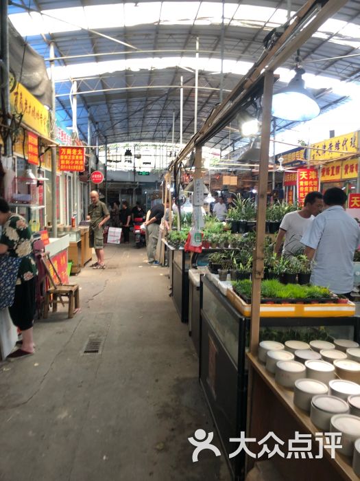 万商花鸟市场(西藏南路店)-图片-上海购物-大众点评网