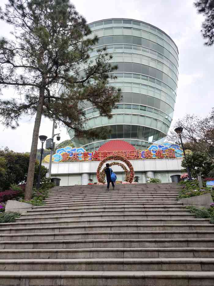 南山一棵树-"南山一"坑"树,一个被网红的收费景点. .