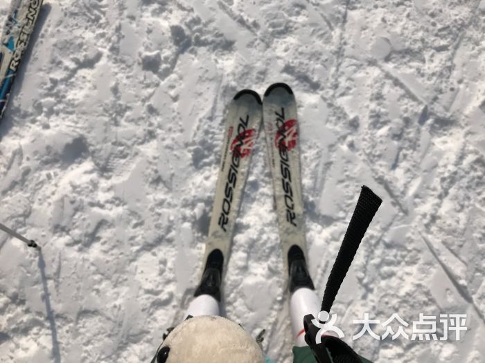 青龙峪高山滑雪场图片 - 第2张