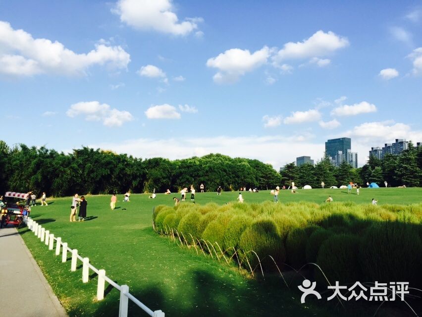 上海辰山植物园图片 - 第2张