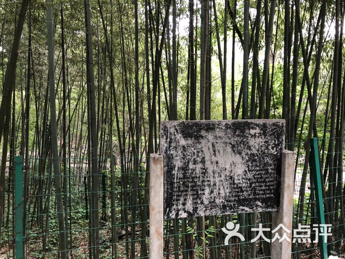 柳埠国家森林公园景色图片 - 第2张