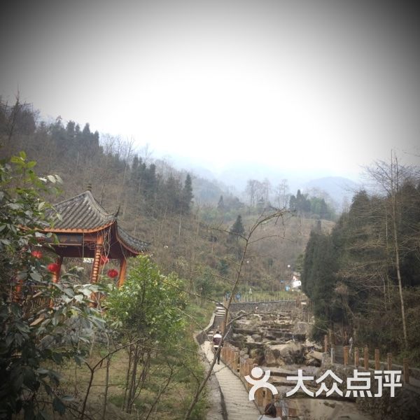 九龙山乡村旅游景区-upload_pic图片-绵竹市周边游