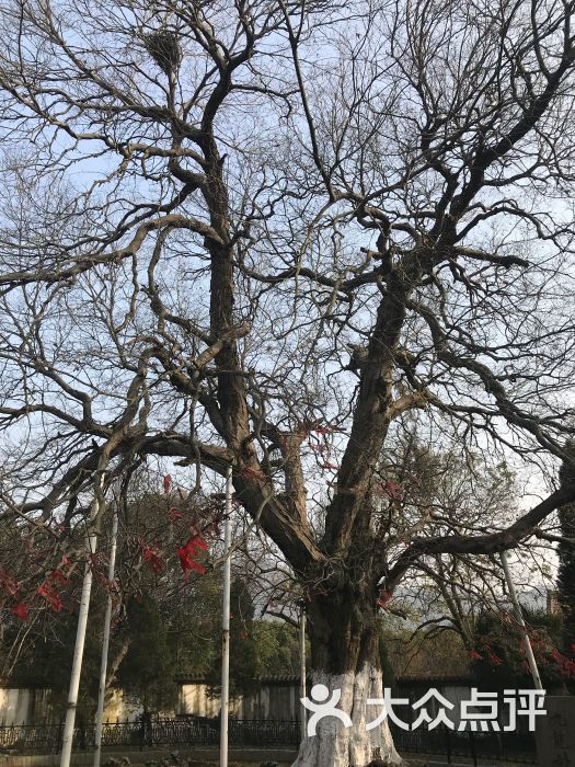 龙泉山风景区