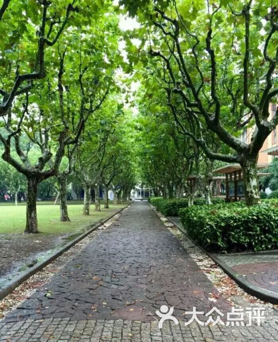 同济大学(四平路校区)-图片-上海学习培训-大众点评网