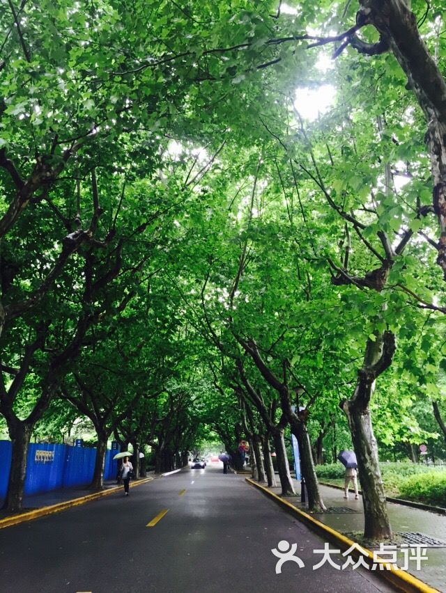 华东师范大学(中山北路校区) 图片 - 第435张