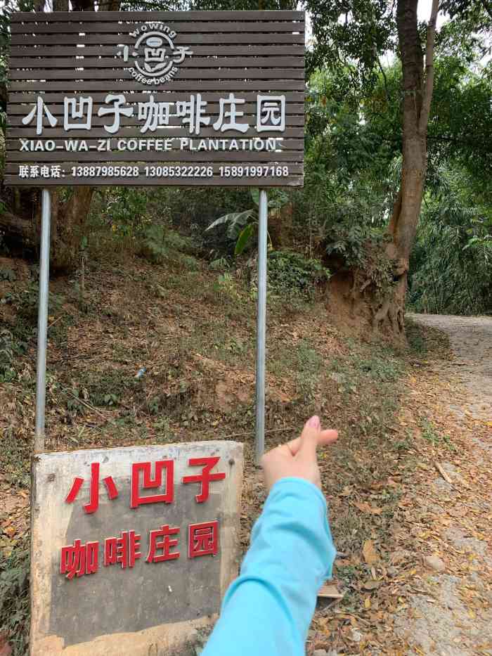 小凹子coffee beans-"在小凹子咖啡庄园当义工,住在淳朴又生态的.
