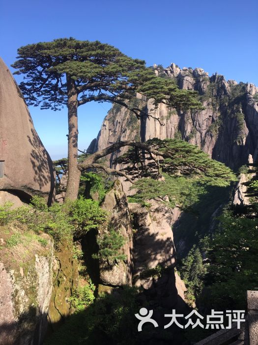 黄山风景区图片 第1张