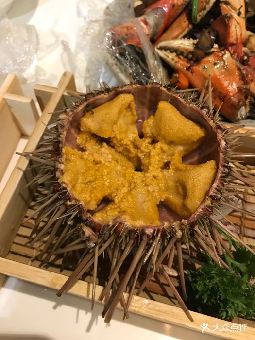蟹将军(恒隆广场店)板海胆图片 - 第9张
