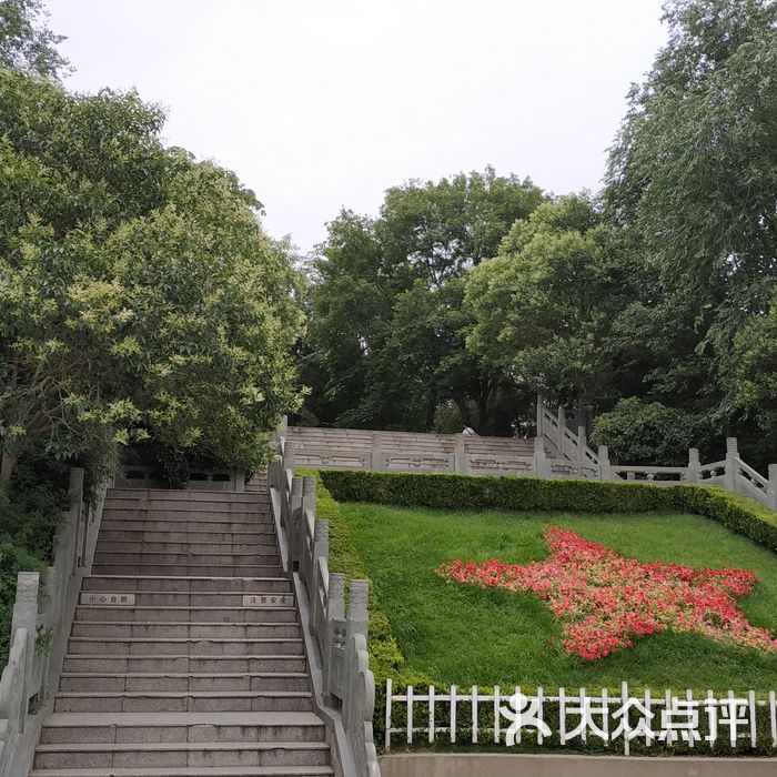紫荆山公园
