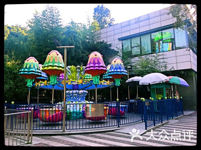 杭州青少年活动中心图片 - 第16张