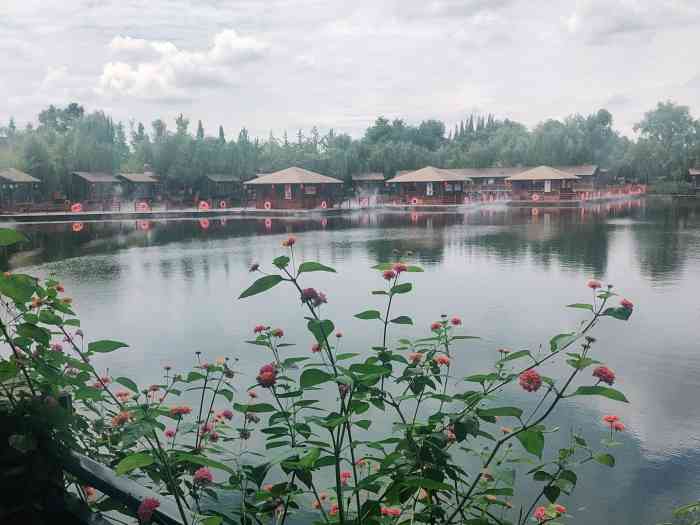 云凌草堂·湖景中餐厅-"这条路上还有一个祥和园和桂