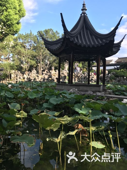 狮子林图片 - 第5张