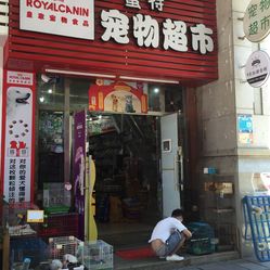 开元棋牌- 开元棋牌官网 - 开元棋牌APP下载Google Lens 已经在所有安装了 Google Photos 的 Android 手机中推出