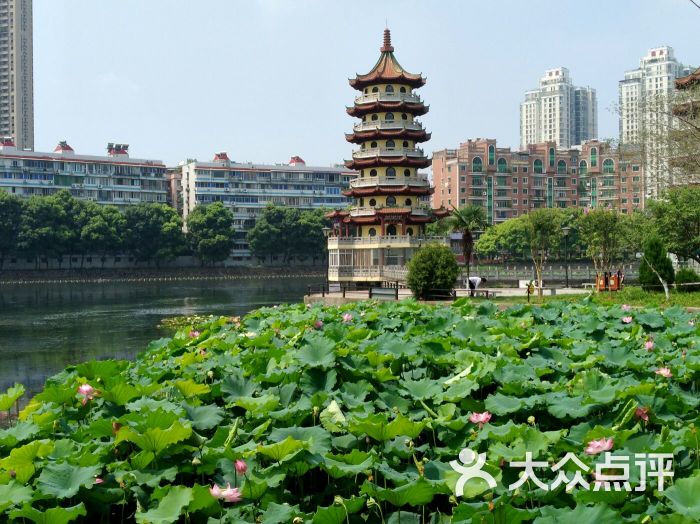 宝岛公园-图片-武汉周边游-大众点评网