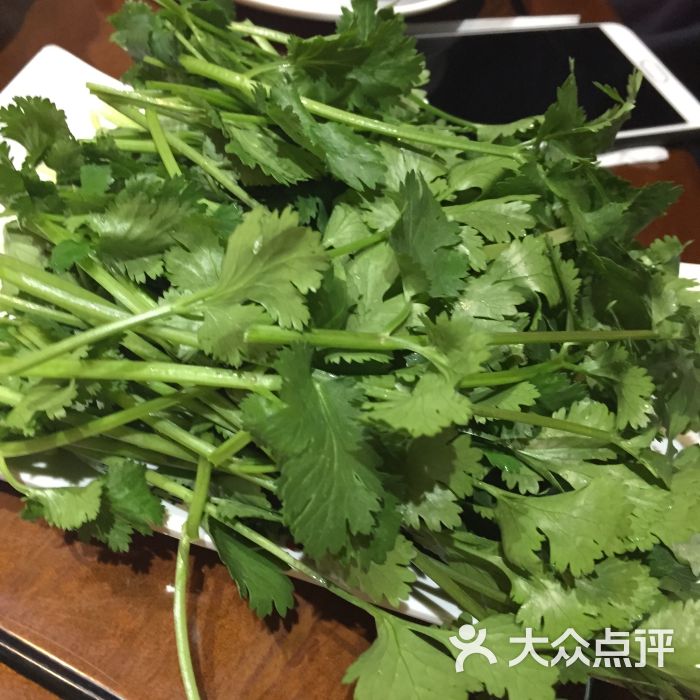 翠湖记潮汕牛肉火锅(观音桥店)香菜图片 - 第33张