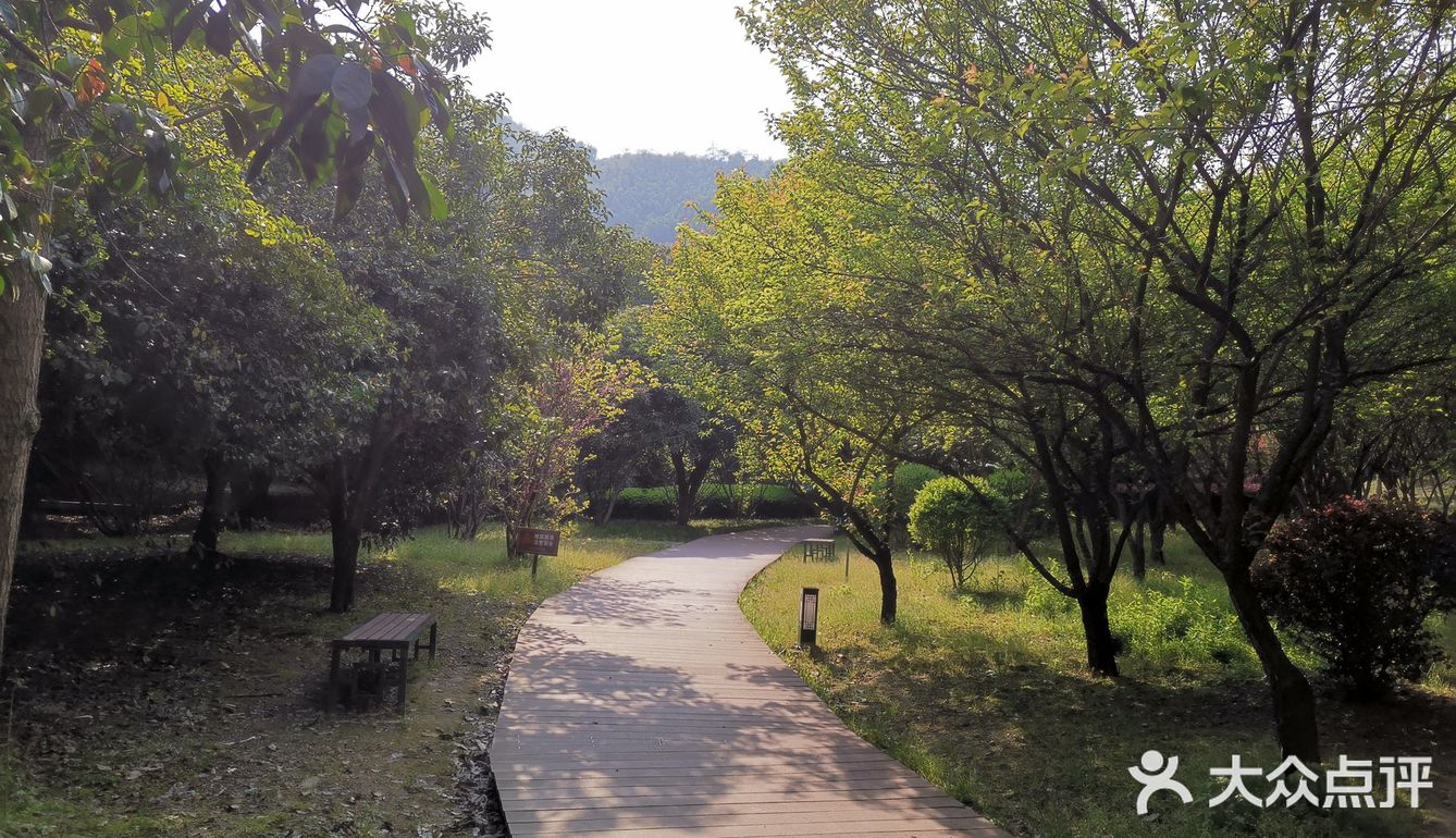 柯桥大香林景区