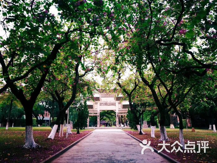 中山大学(南校区)图片 第1张
