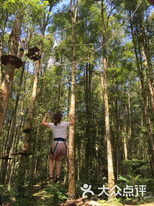 bali treetop adventure park图片 - 第4张