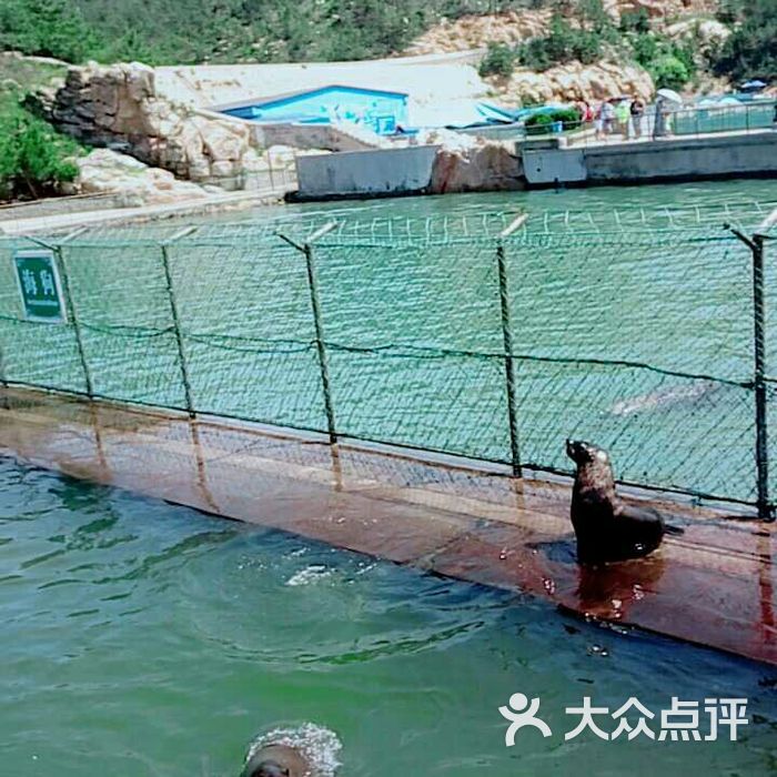 西霞口神雕山野生动物自然保护区图片-北京动物园-大众点评网