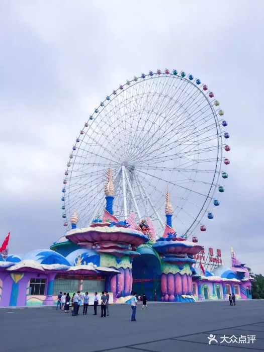 杭州湾海皮岛景区-图片-慈溪周边游-大众点评网