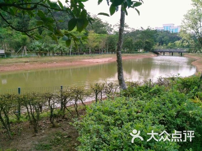 元宝山体育公园-图片-江门运动健身-大众点评网