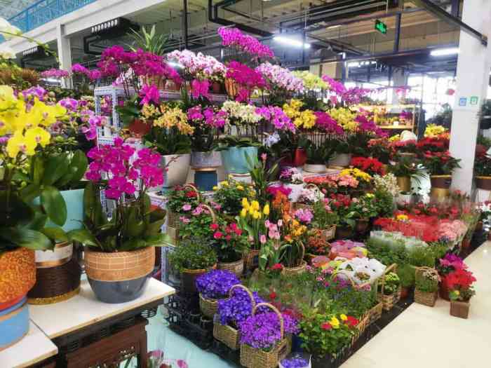 蟹岛国际花卉-"来蟹岛这边烧烤,发现这个宝藏花卉市场