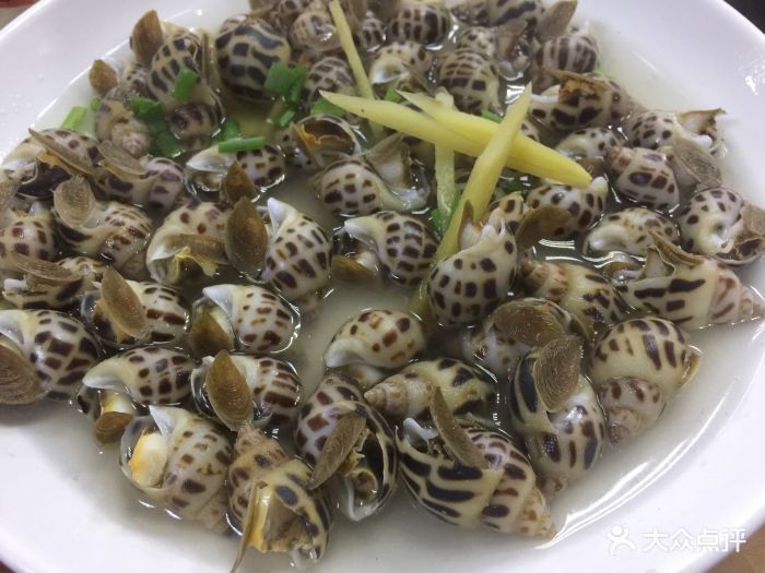 洞头海鲜城-图片-温州美食-大众点评网