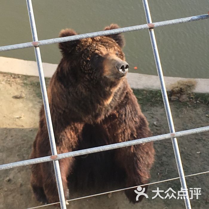 大丰港动物园