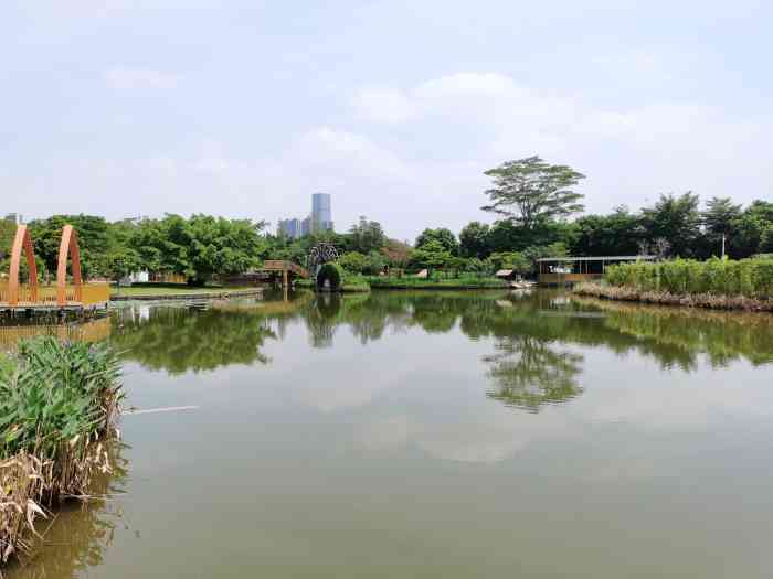 坐标# 东莞万江龙湾湿地公园# 一个适合疫情期间户外运动的公园,公园