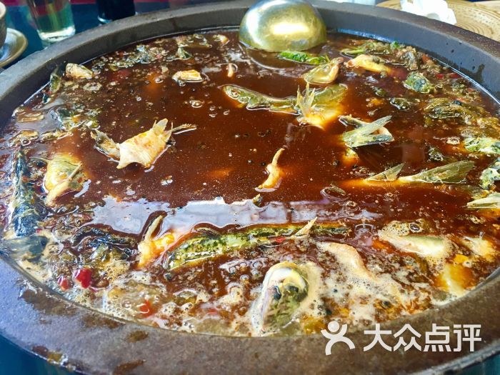 黄记飞雪河鲜石锅鱼-图片-新津县美食-大众点评网