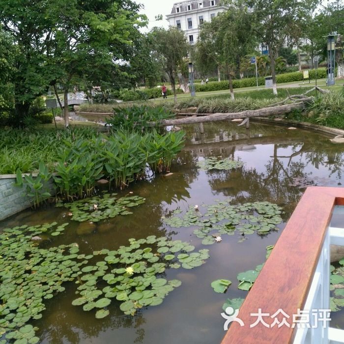 大学城生物岛