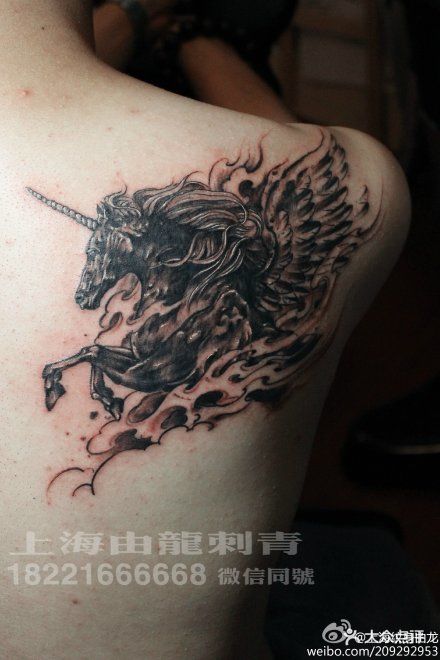 由龙纹身(上海刺青名店)独角兽纹身 (9)图片 - 第2156张