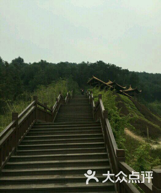 铁山坪森林公园图片 - 第3张