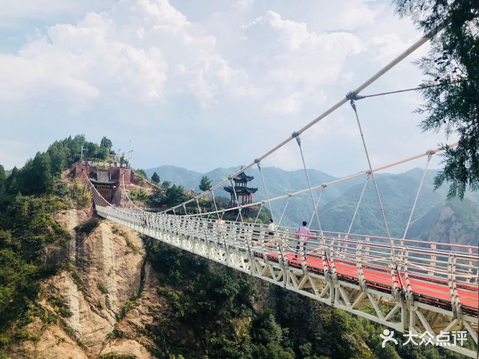 九龙山景区玻璃悬索桥图片 第253张