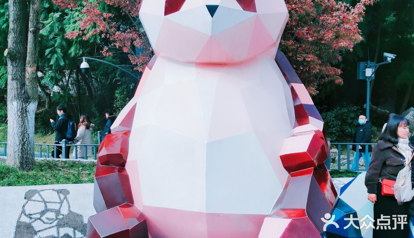 请关注旅美大熊猫美香添添