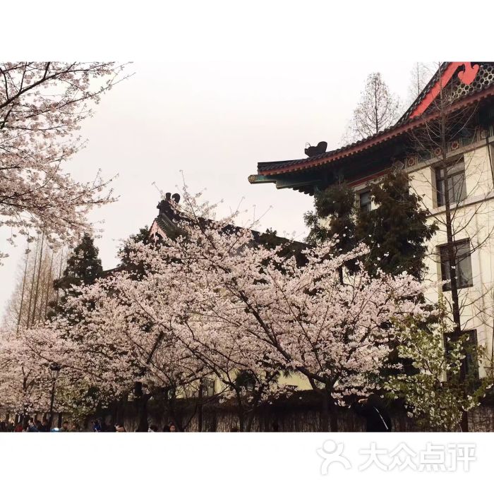 古鸡鸣寺,求姻缘的圣地,虽然我没试过准不.-鸡