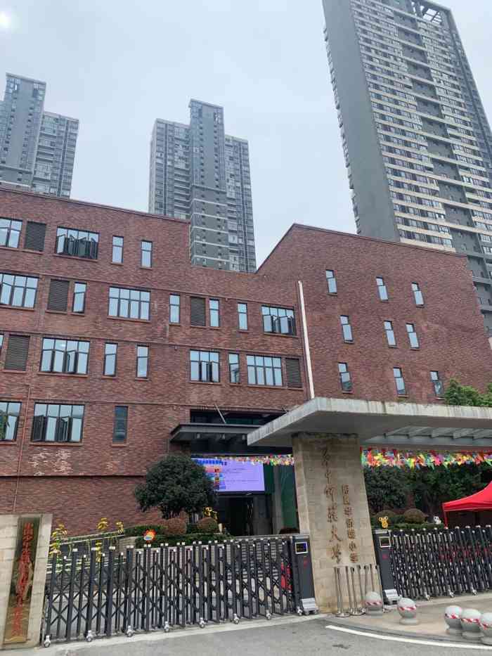 华中师范大学附属华侨城小学-"路过华侨城,刚好看到城