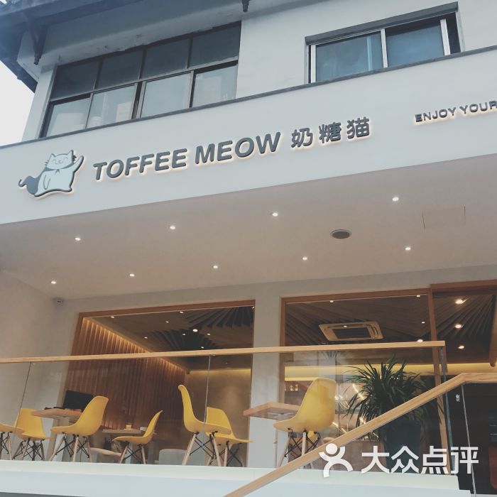 toffee meow奶糖猫图片 - 第4张