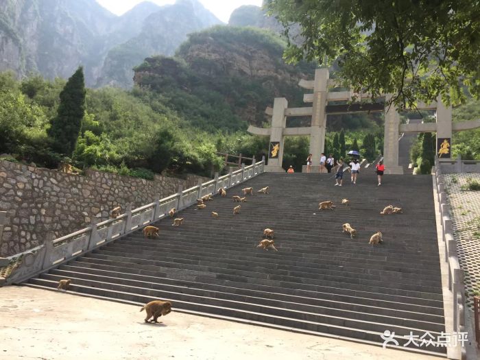 王屋山风景区图片 - 第32张