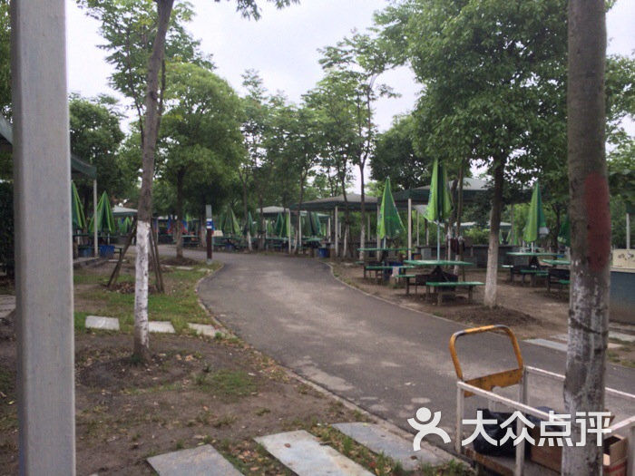 长沙南郊公园烧烤_顾村公园 烧烤 人均