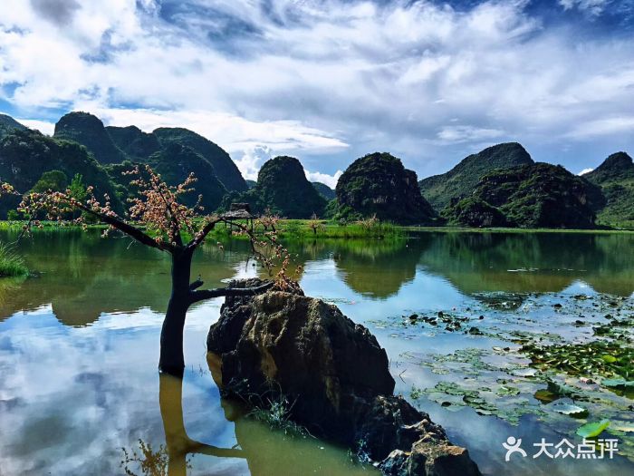 普者黑风景区图片 - 第6张