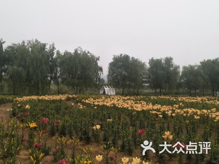 日照花仙子风景区图片 - 第6张