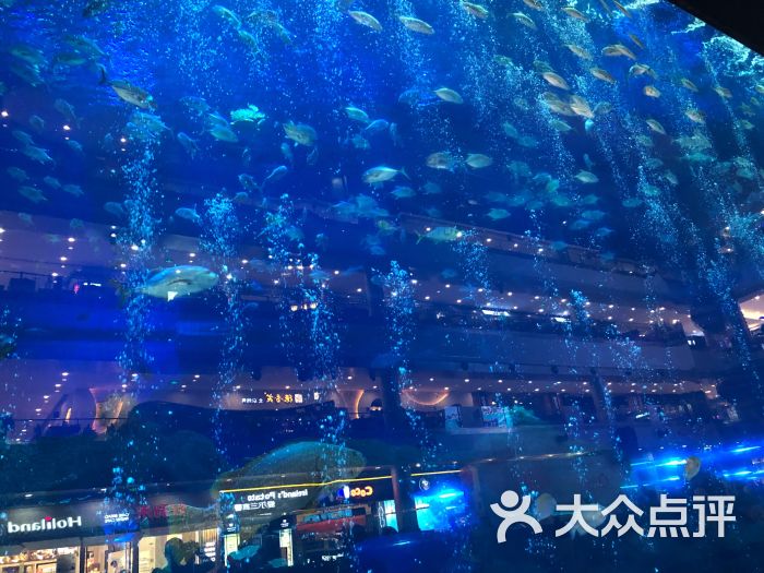 海滨城浩海立方海洋馆图片 第2张
