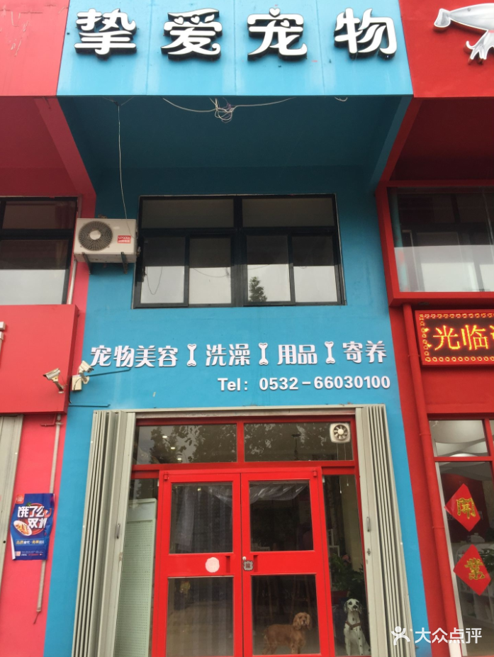 挚爱宠物店门头图片