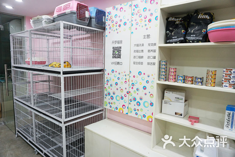 开罗猫舍(西园路店)图片 第78张