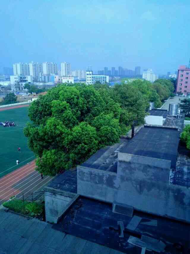 湖南师范大学树达学院(张公岭校区 湖南师范大学张公岭校区位于